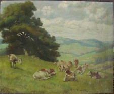 :: Vaches sur le Pâturage