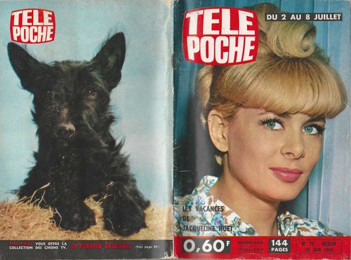 Tele poche 1966 complet - 1966,