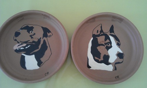Reproduction chiens amstaff - reproduction,