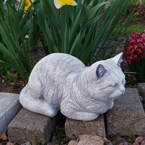 Chaton figurine - , en