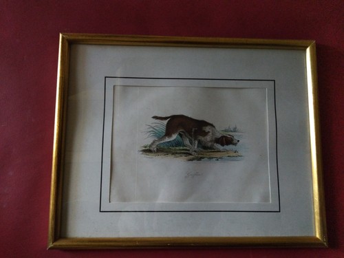 Ancienne reproduction encadre - reproduction,