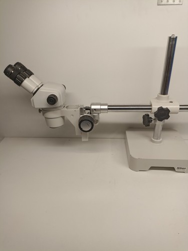Loupe binoculaire nikon - binoculaire,