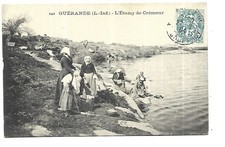 44  GUERANDE  ETANG DE CREMEUR