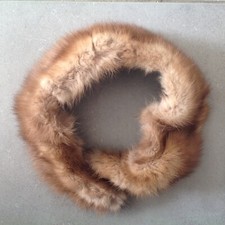 Belle ÉTOLE Ancienne Col