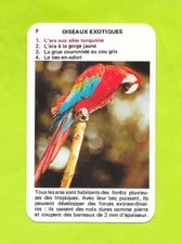 Card No. F1 - Exotic birds - Turquoise winged macaw