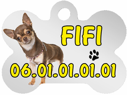 Médaille pour chien - pour,
