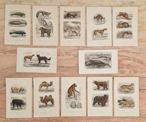 Gravures anciennes - 12,
