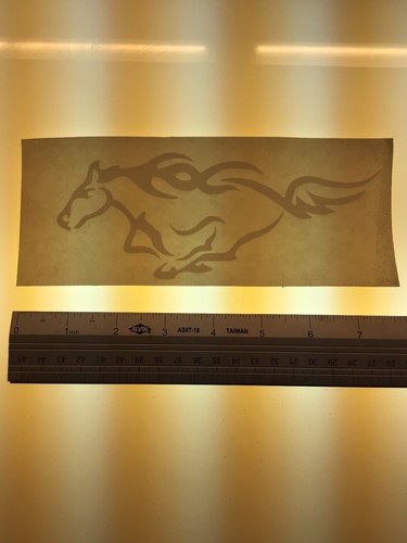 Mustang smaller white - ,