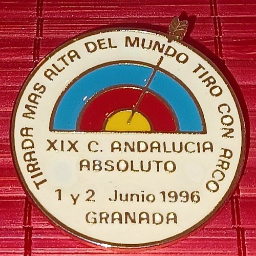Pin 1996 record monde - record,