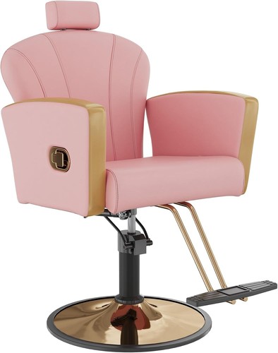 Reclining salon chair - reclining,