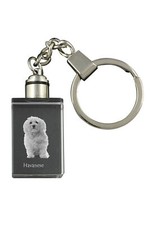 Havanese, Bichon Havanais, Bichón Habanero - Porte-Clés En Cristal Avec