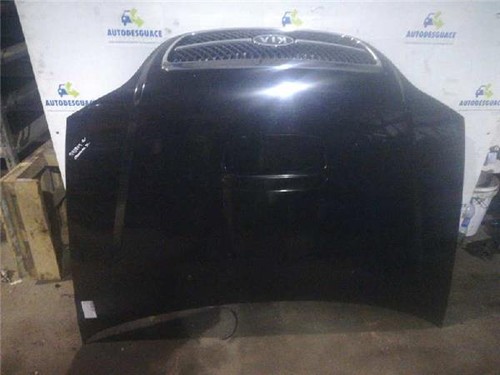 Capot kia carnival - kia, 29