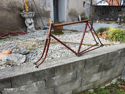 Cadre velo ancien royal - de,