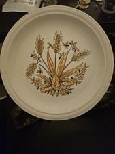 vaisselle ancienne plate 