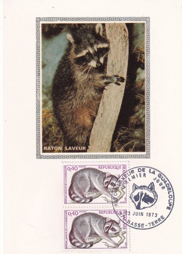 Carte 1er jour - , nature