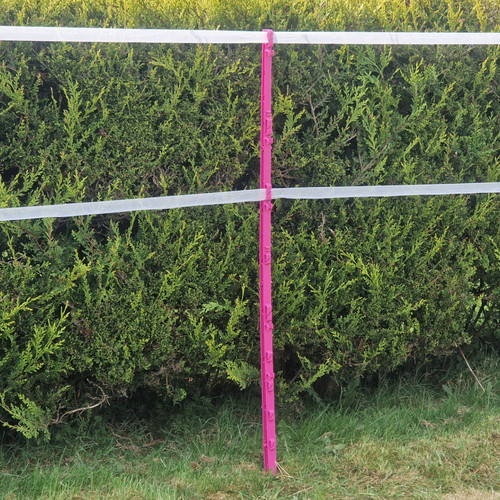 Rose 5ft poly messages 156cm - poly,