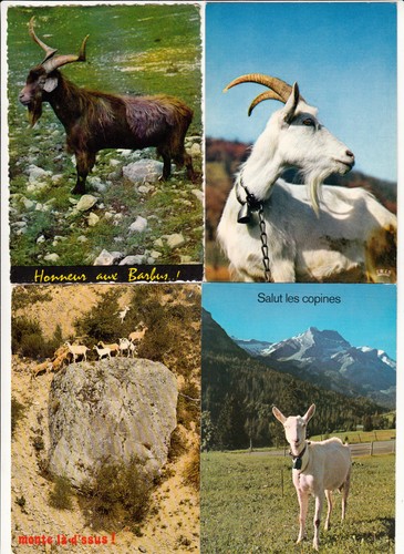 Lot cartes postales - 4,