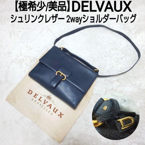Delvaux shrink leather 2way - shrink,