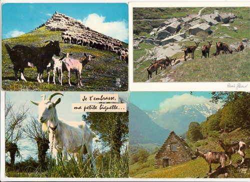 Lot cartes postales - lot,