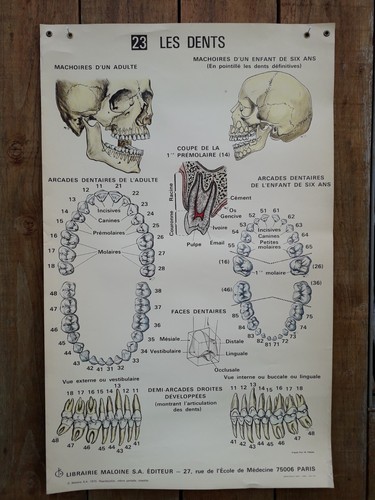 Ancienne affiche medecine le - ancienne,