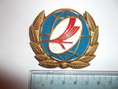Insigne pilote chapka - insigne,