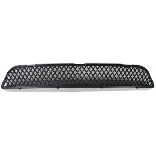 Bumper grille for 2006 - grille,