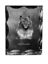 Keeshond, Wolf Spitz, Allemand
