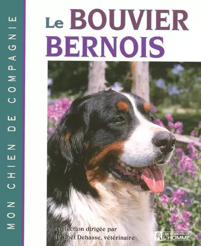 Bouvier bernois joel dehasse - joel,