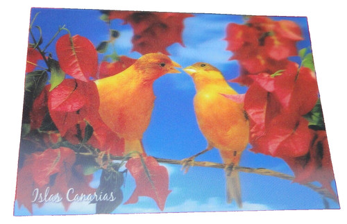 Carte postale relief - postale, 3d
