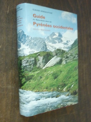 Pyrenees dendaletche - pyrenees, •