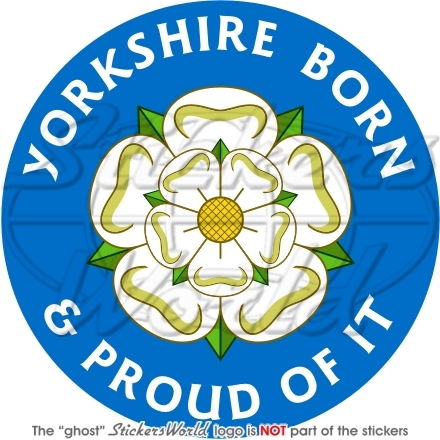 Yorkshire anglais né fier - né, et
