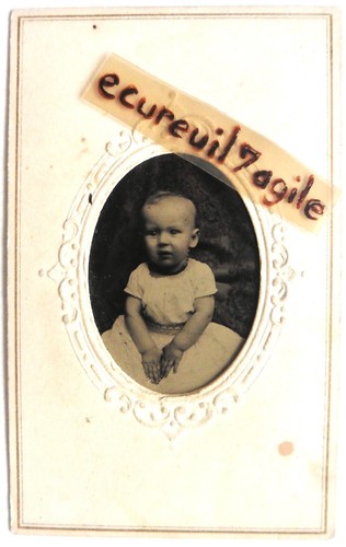 Ferrotype photo alden - e.,