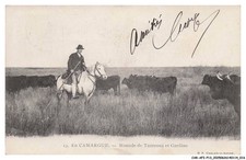 CAR-AFIP13-0729-13 - En