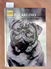 Il Carlin 2008 Choix Del Chiot