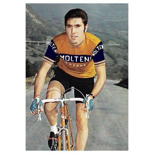 Maillot retro equipo - equipo, molteni