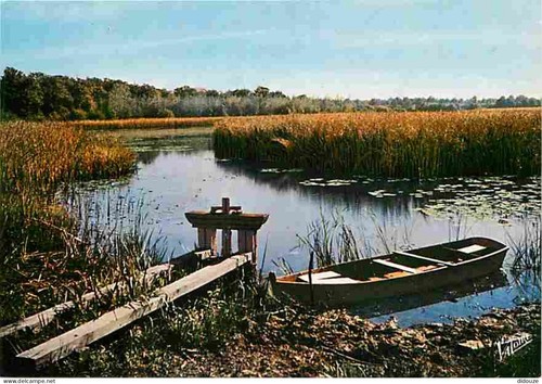 Carte postale sologne - carte,