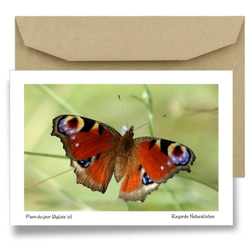 Carte postale papier aquarelle