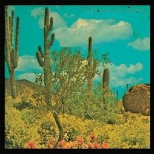 PUTA MADRE BROTHERS "IT'S A