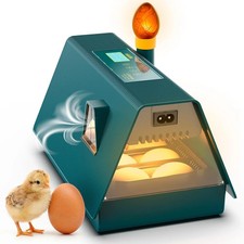Couveuse Oeuf Automatique -