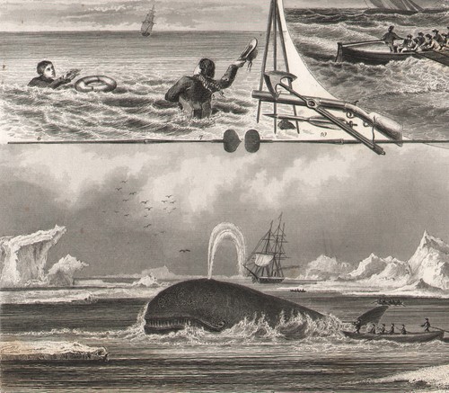 1875 gravure orginale bateau - 1875,