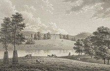 Ashburnham Park in Suffolk