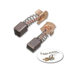 Jeu de 2 charbons pour moteur