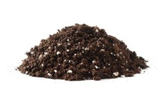 Bonsai Tree Soil All Purpose