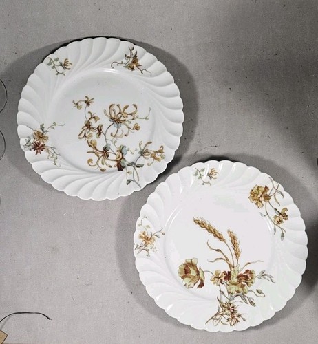 Haviland pour majorelle nancy - haviland,