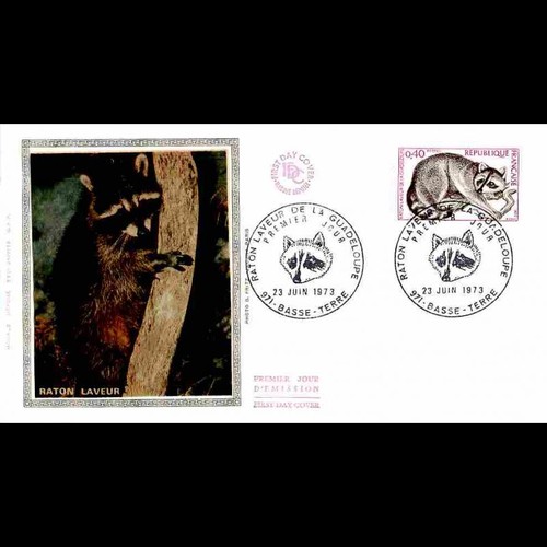 Fdc soie raton laveur - le,