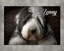 Puzzle chien Bobtail