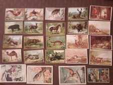 LOT  DE 24 CHROMOS  anciennes