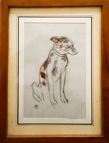 Jacques nam chien assis vers - jacques,