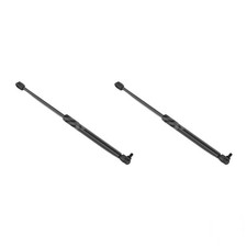 Ensemble De Gaz À Vérin De