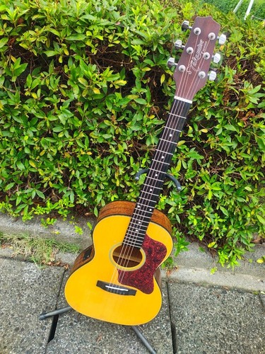 Guitare acoustique takamine - guitare,